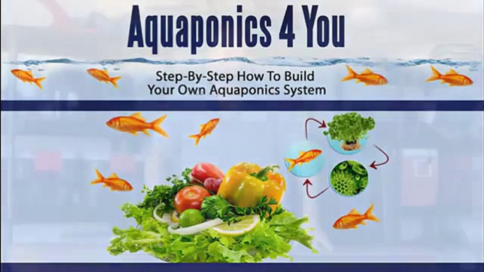 aquaponics4you com Aquaponics 4 You   Step By Step How To Build Your Own Aquaponics System