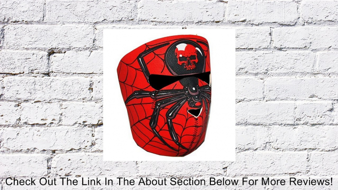 New Half Face Motorcycle Snowmobile Snowboard Ski Balaclava Face Mask Red Spider Skull Review