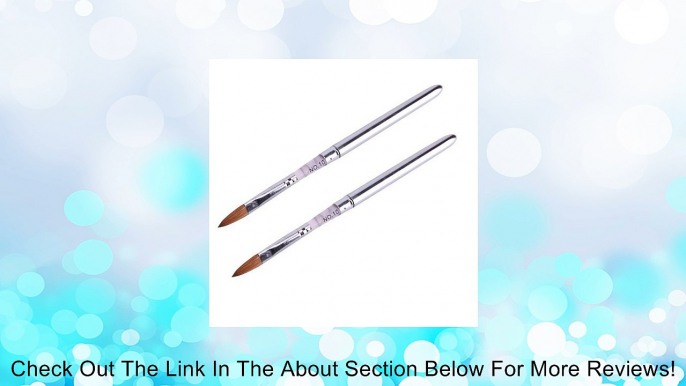 2 Pack Of Pro Marble Sable Acrylic Nail Art Design Paint Painting Brush Pen - Size 10 Review