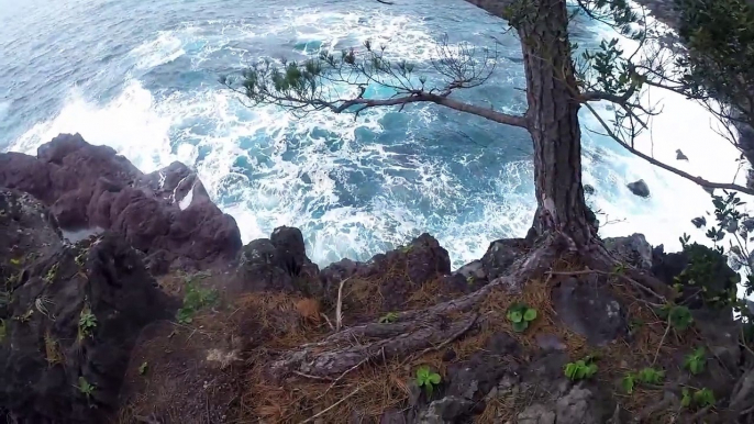 磯釣りグレ ISO Fishing in Ibusuki, Japan (いぶすき鹿児島県）