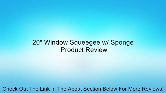 20" Window Squeegee w/ Sponge Review