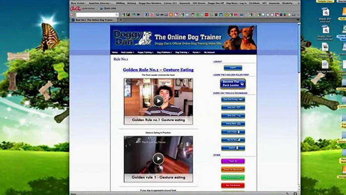 Doggy Dans The Online Dog Trainer System Demo