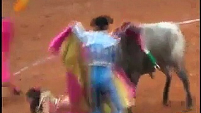 Mexican female bullfighter injured by bull - Video Dailymotion