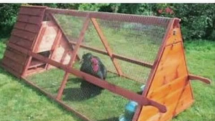 DIY Chicken Coop Plans for Building a Chicken Coop