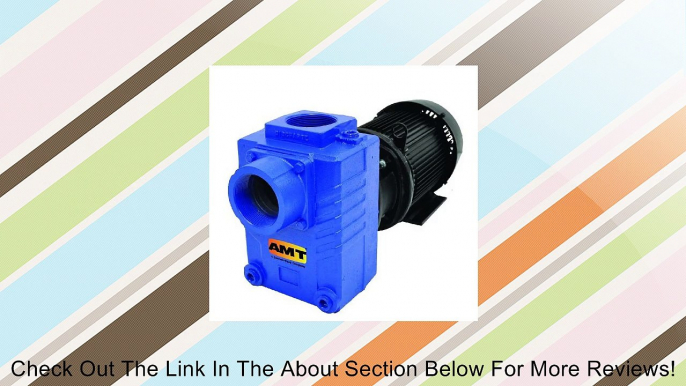 AMT Pump 2876-95 Self-Priming Centrifugal Pump, Cast Iron, 7-1/2 HP, 3 Phase, 208-230/460 V, Curve C, 3" NPT Female Suction & Discharge Ports Review