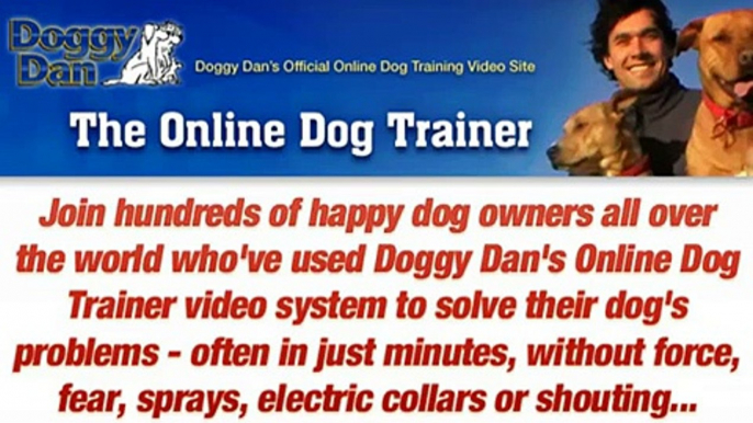 Dog Training On Leash - The Online Dog Trainer