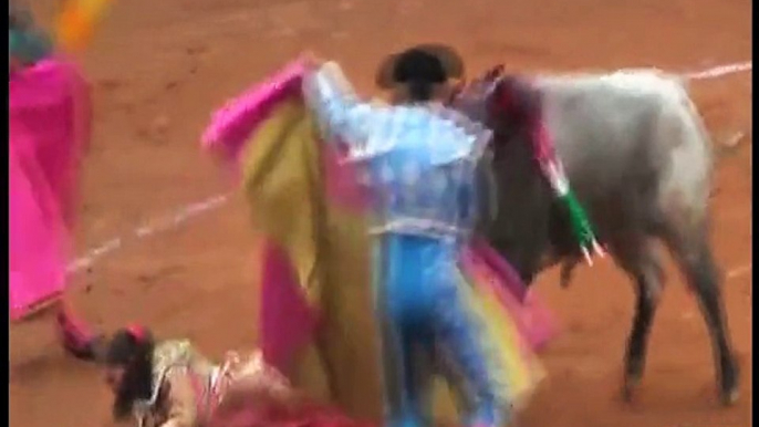 Dunya news- Mexican female bullfighter gored by bull