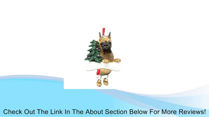 Boxer Ornament with Unique "Dangling Legs" Hand Painted and Easily Personalized Christmas Ornament Review