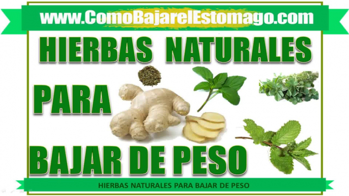 Hierbas Naturales Que Ayudan a Perder Peso