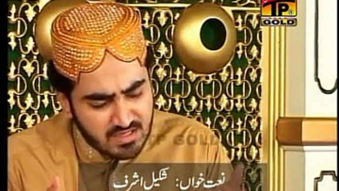 Bulbul Badgh-e-Madena Video Naat - Shakeel Ashraf -= Naat Online Video