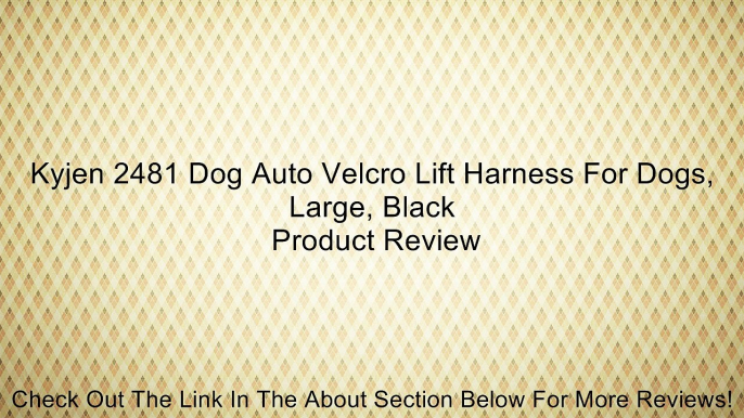 Kyjen 2481 Dog Auto Velcro Lift Harness For Dogs, Large, Black Review