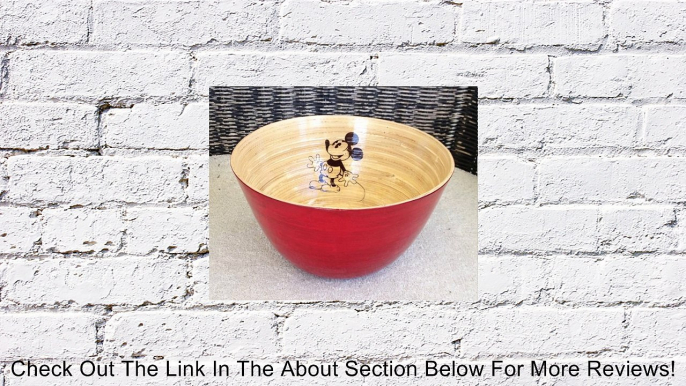 Disney Parks Mickey Mouse Bamboo Mixing Bowl NEW Salad Review