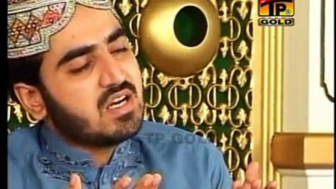 Sarkar Do Jahan Ka Darbar Video Naat - Shakeel Ashraf - Naat Online Video on dailymotion