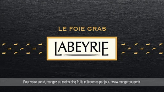Labeyrie - foie gras et saumon fumé - décembre 2010 - "En faire plus serait sans doute en faire trop", Foie gras, 8s