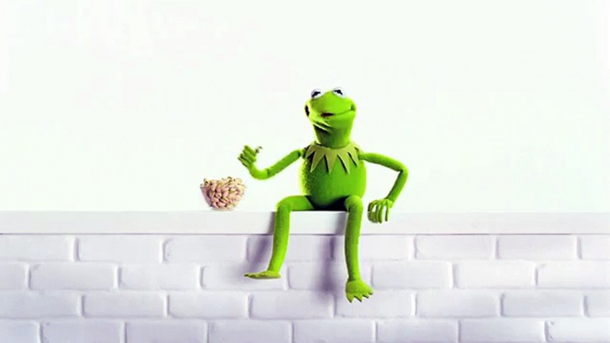 Wonderful Pistachios - pistaches, "Craquez 2.0" - avril 2012 - Kermit la grenouille