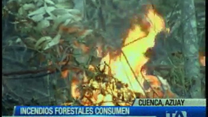 Incendios forestales en Cuenca habrían sido provocados