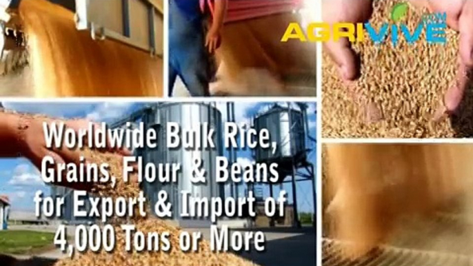 Buy Bulk White Rice, White Rice Exporting, White Rice Exporters, White Rice Exporter, White Rice Exports, White Rice Export