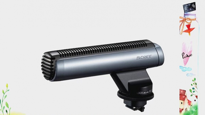 Sony ECM-HGZ1 Shotgun Microphone for DCR-PC55 DCR-DVD305 DVD 405 DVD 505 HDR-HC1 HC5 HDR-UX1