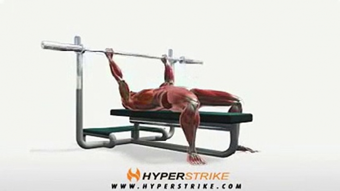 Workout Manager - Bench Press (Chest Exercises)