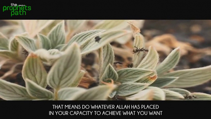 Wait For The Roses ᴴᴰ - Powerful Reminder Mufti Ismail Menk