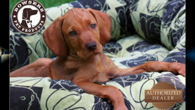 Precious Pets Paradise : Caddis Dog Beds