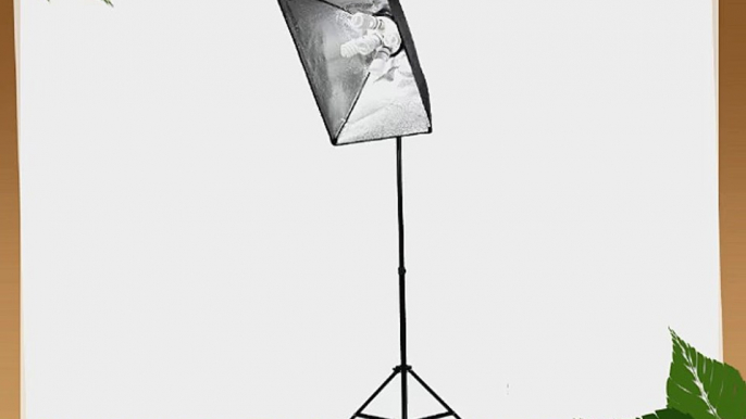 Fancierstudio 1000 watt softbox lighting kit softbox light kit video lighting kit with carrying