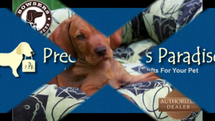 Precious Pets Paradise : Orthopedic Dog Beds