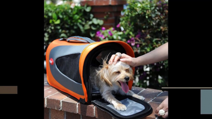 Precious Pets Paradise : Designer Dog Carriers