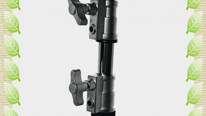 Flashpoint C light stand 40 double riser40 arm Turtle base 1 Grip Heads