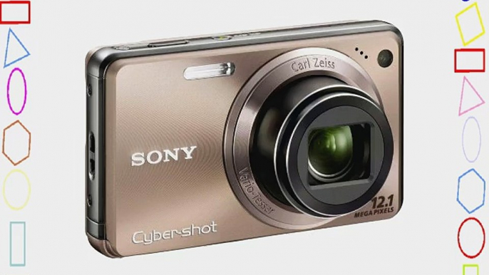 Sony Cyber-shot DSC-W290 12 MP Digital Camera with 5x Optical Zoom and Super Steady Shot Image