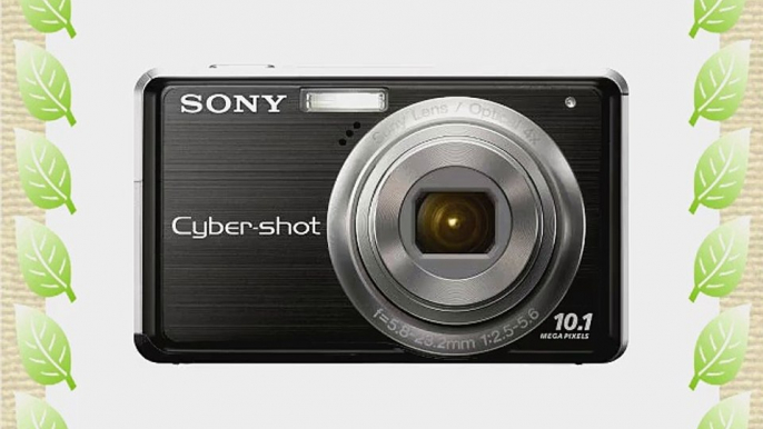 Sony Cybershot DSC-S950 10MP Digital Camera with 4x Optical Zoom with Super Steady Shot Image