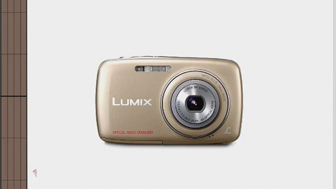 Panasonic Lumix DMC-S1 12.1 MP Digital Camera with 4x Optical Image Stabilized Zoom with 2.7-Inch