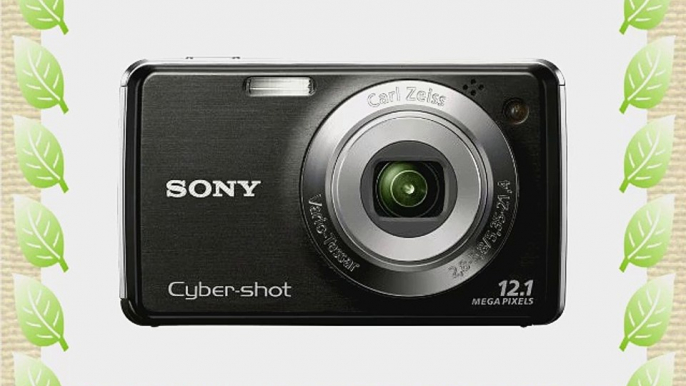 Sony Cyber-shot DSC-W230 12.1 MP Digital Camera with 4x Optical Zoom and Super Steady Shot