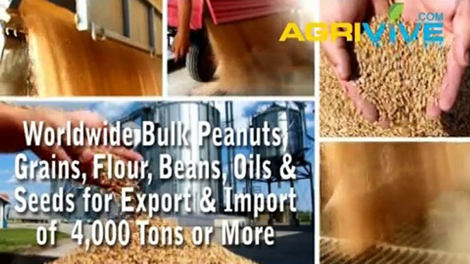 Buy Bulk Peanuts for Export, Peanuts Exporter, Peanuts Exports, Peanuts Exporting, Peanuts Exporters