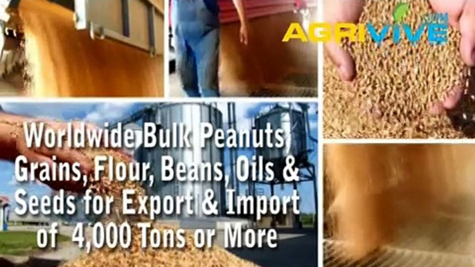 Acquire Bulk Peanuts for Exporting, Peanuts Exporters, Peanuts Exporter, Peanuts Exports, Export, Export