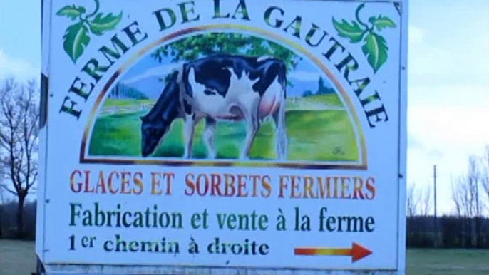 Des bûches glacées de Noël au bon lait de la ferme