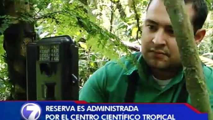 Ojos electrónicos en bosque Monteverde ayudan a conservación de animales