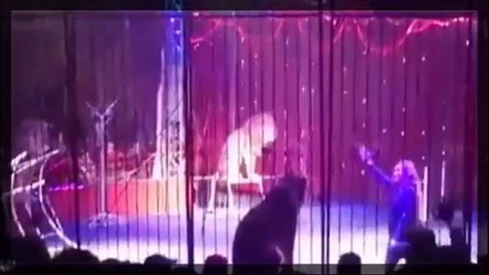 Terrifying footage : Lion Injured Female Trainer during circus performance