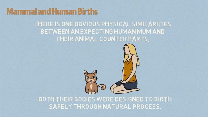 Hypnobirthing Online - Human Birth versus Animal Birth