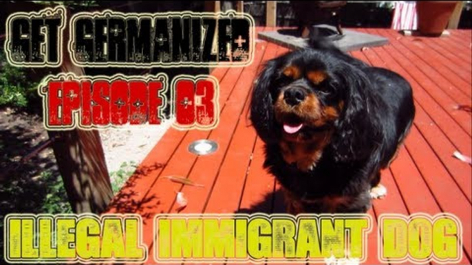 Illegal Immigrant Dog | Get Germanized Vlogs | Episode 03