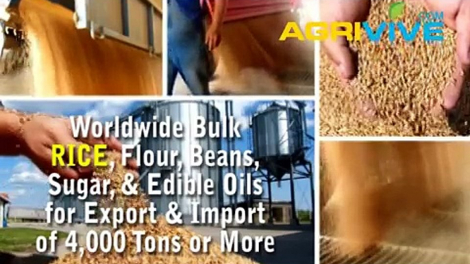Bulk Rice Export, Rice Export, Rice Export, Rice Export, Rice Export, Rice Export, Rice Export