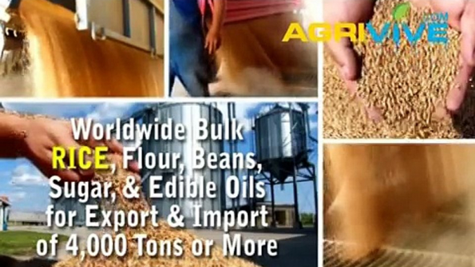 Buy USA Bulk Wholesale Rice Trading, Rice Trading, Rice Trading, Rice Trading, Rice Trading, Rice Trading, Rice Trading