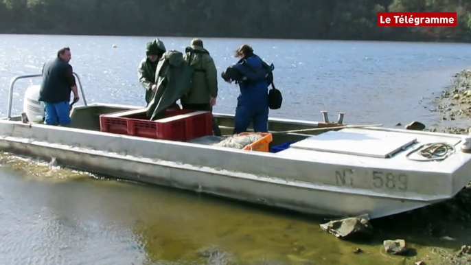 Lac de Guerlédan. Dernières pêches avant la vidange