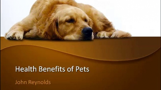 Health Benefits of Pets