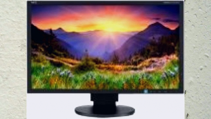 NEC EA234WMI-BK 23-Inch Screen LED-Lit Monitor