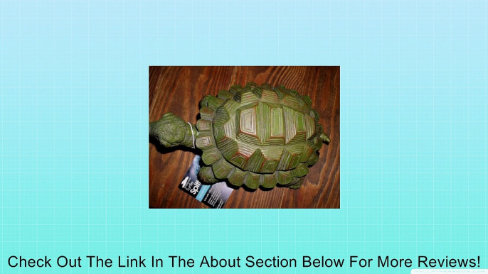 Smartpond turtle spitter Geo Global Model Spt Review
