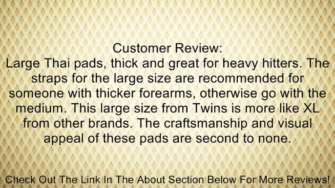 Twins Special Leather Thai Pads - Velcro - KPL-2 Blue/Black Muay Thai Kickboxing Pads Review