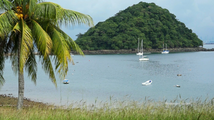 Taboga Island. Panama.