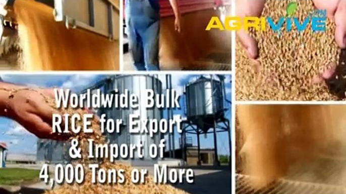 Buy Bulk Rice for Export, Rice Exporter, Rice Exports, Rice Exporting, Rice Exporters