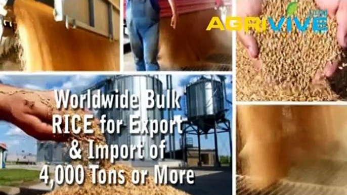 Acquire Bulk Rice for Exporting, Rice Exporters, Rice Exporter, Rice Exports, Export, Export